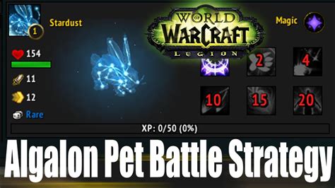 wow pet battle scripts